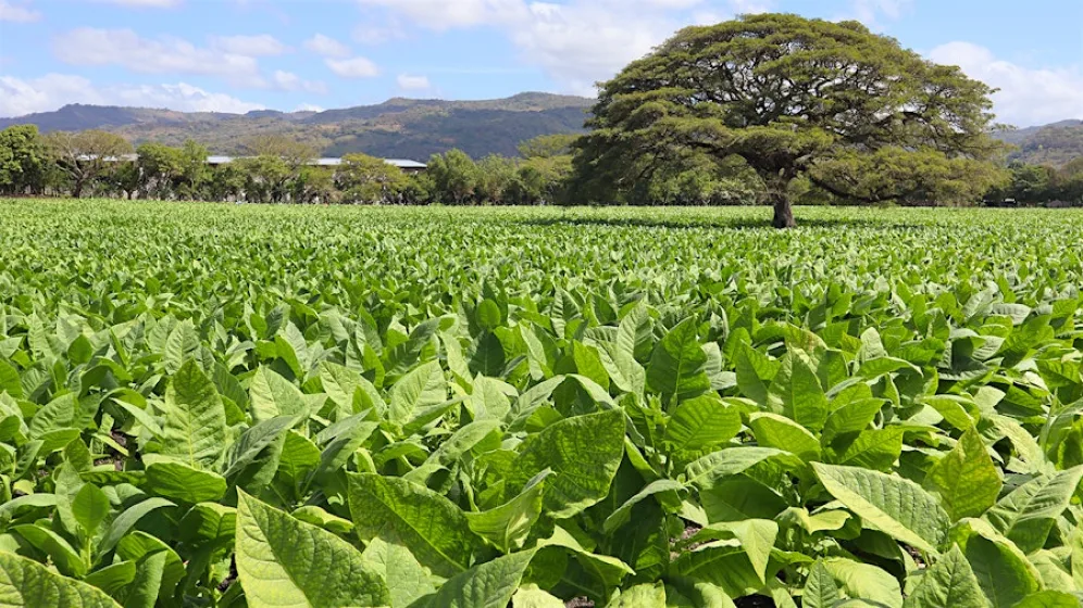 ryan-reynolds-gq-2015-02-3<br />

