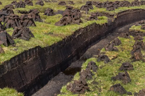 ryan-reynolds-gq-2015-02-4.webp<br />
